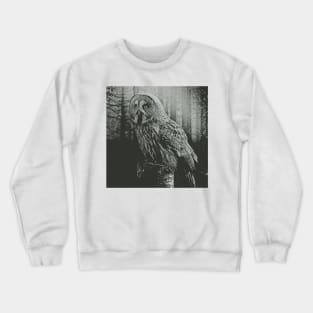 Mysterious Owl Crewneck Sweatshirt